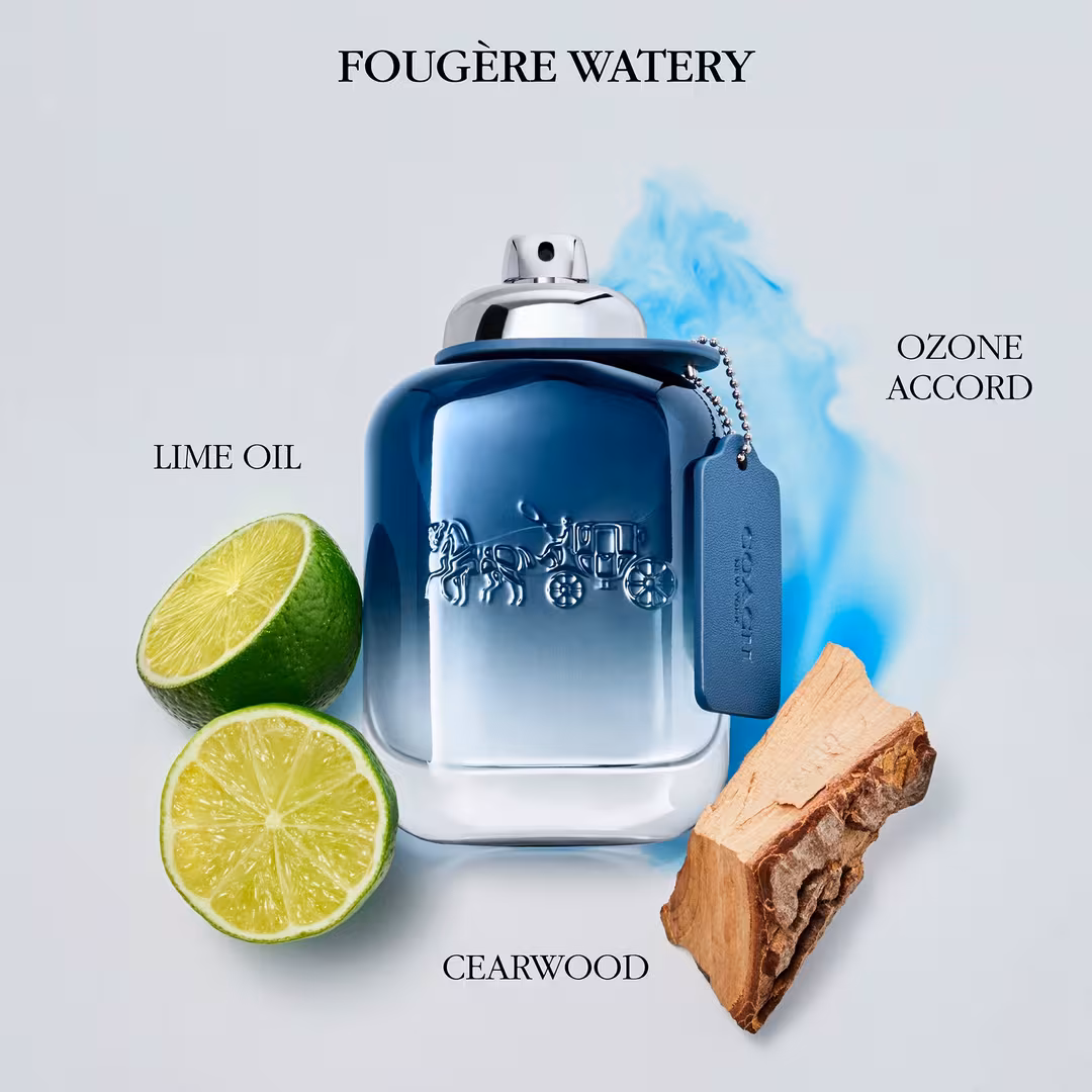 Coach  Man Blue Eau de Toilette