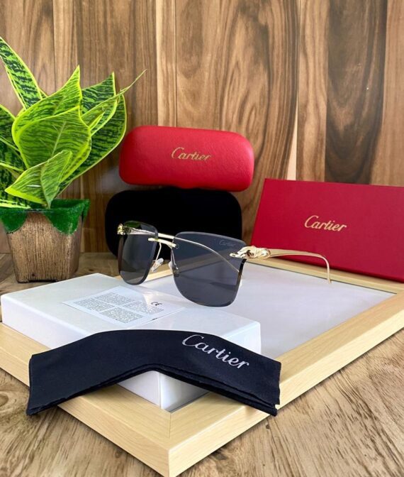 Cartier sunglasses 18