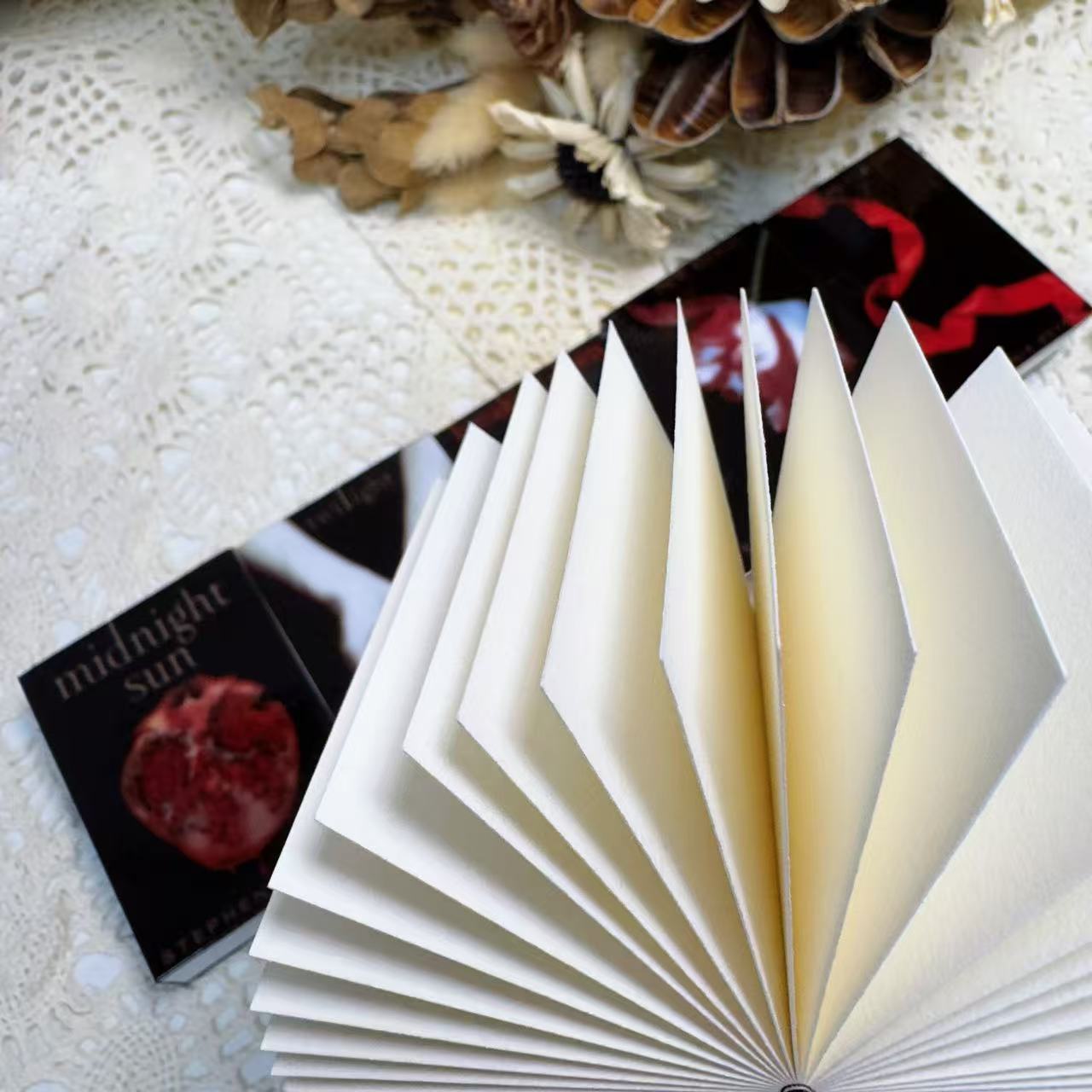 The Twilight Saga (5 book series)