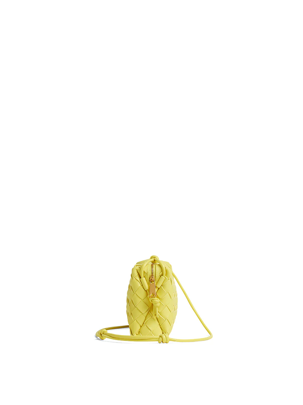 Bottega Veneta East-West Loop Camera Bag