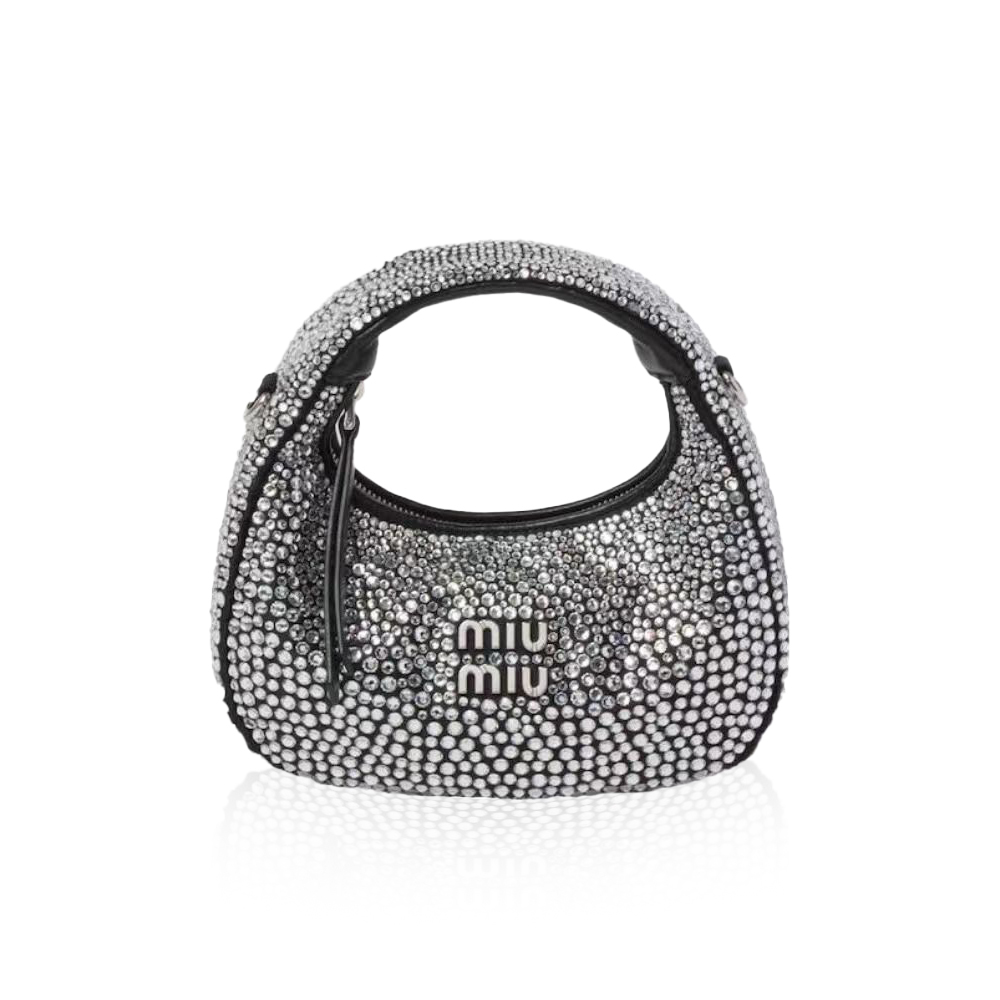 Miu Miu Wander handbag