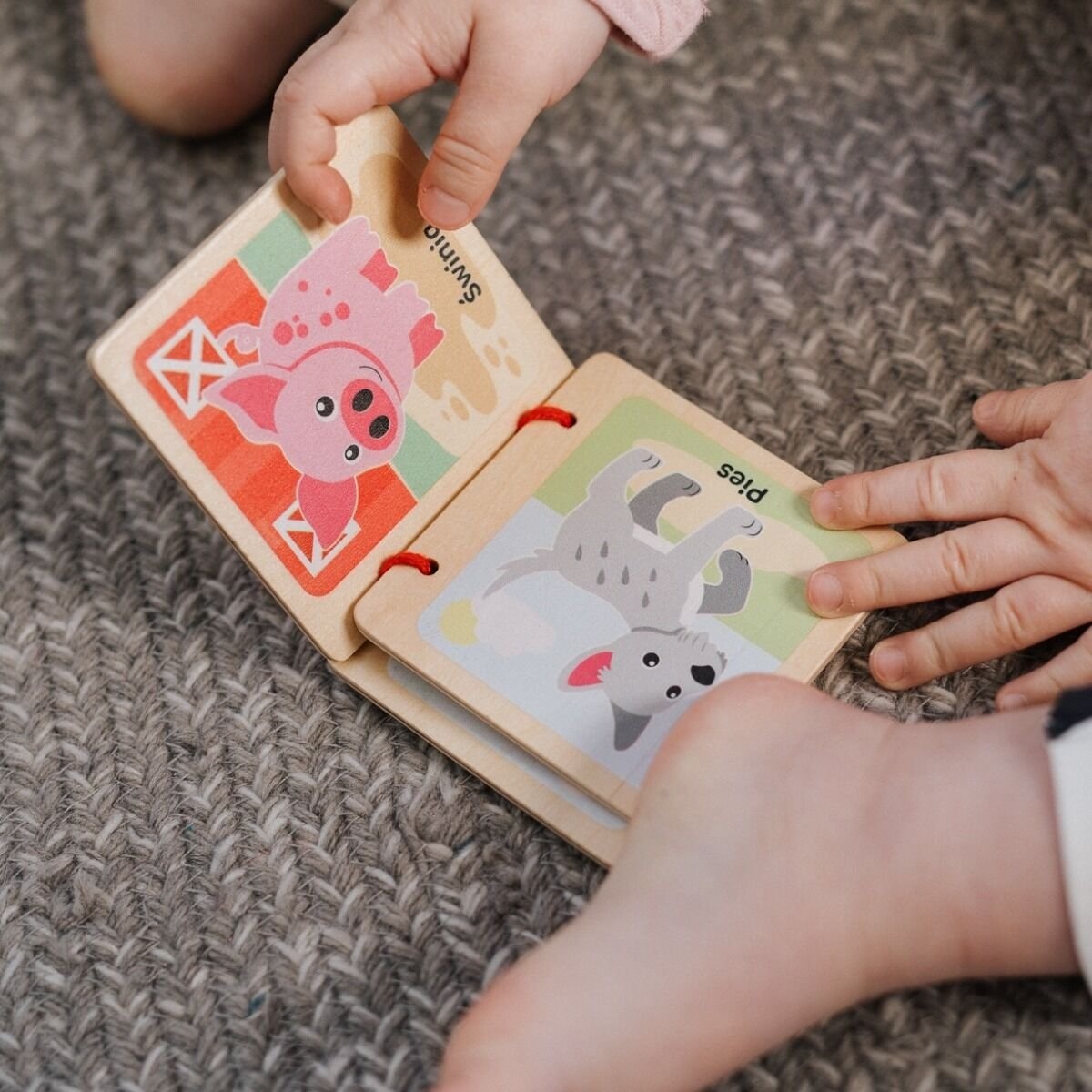 Poznaj Zwierzęta - Bobaski I Miś