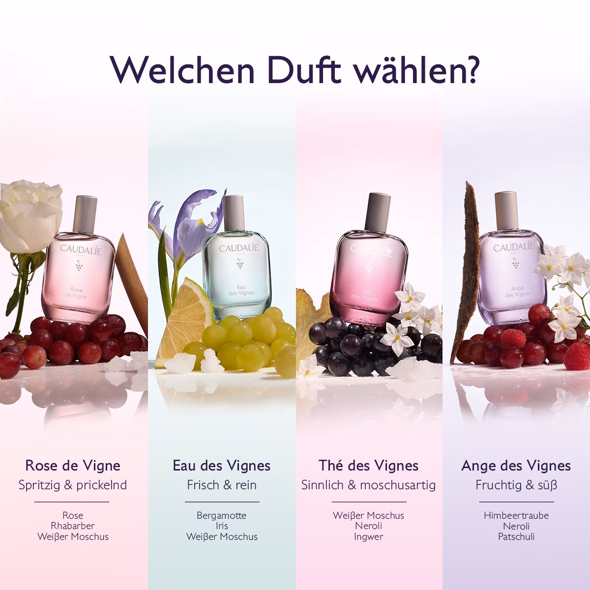 EAU DES VIGNES