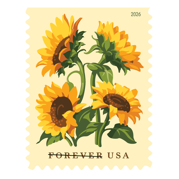 Fruits & Flowers