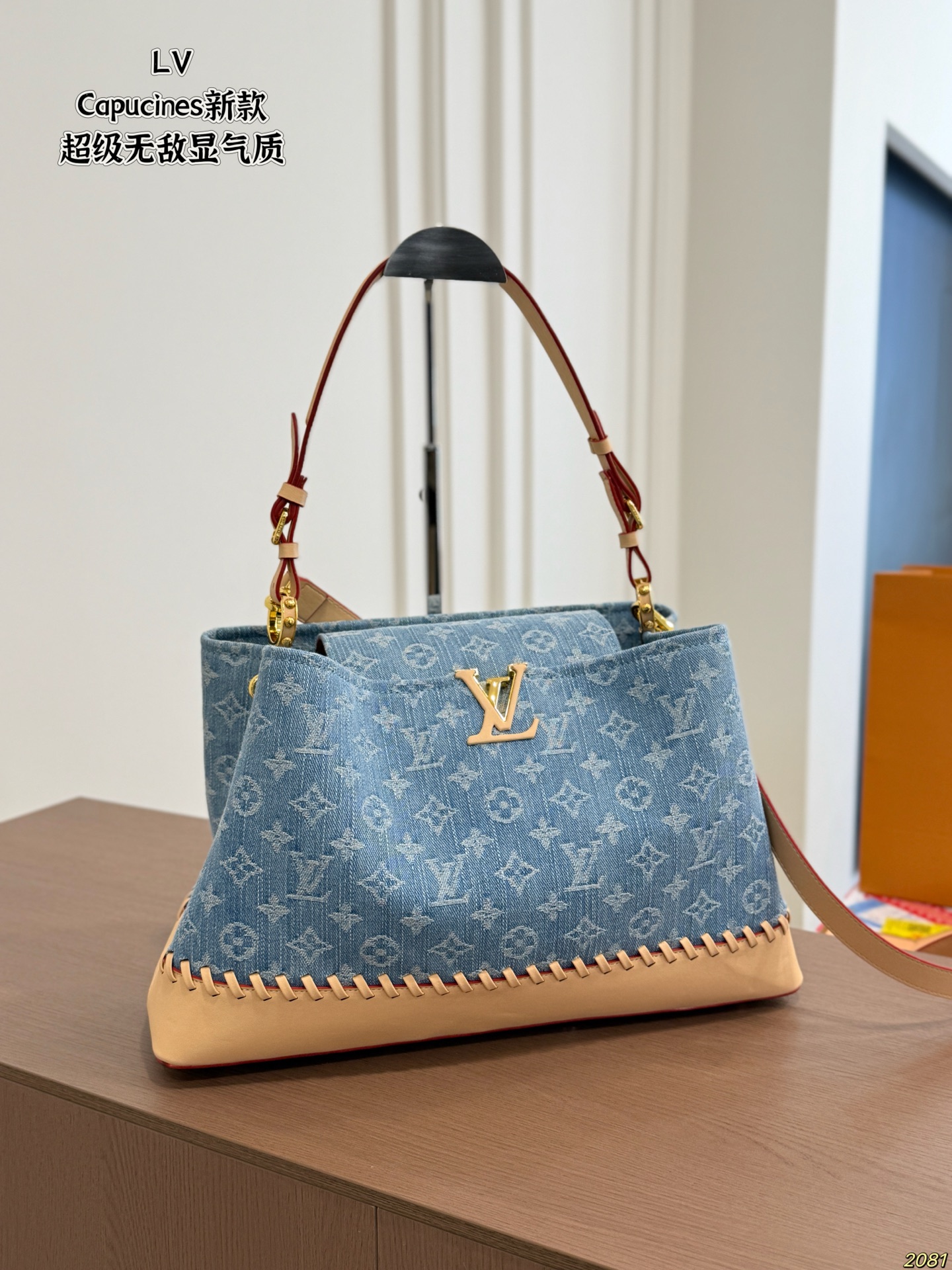 LV Capucines Handbag