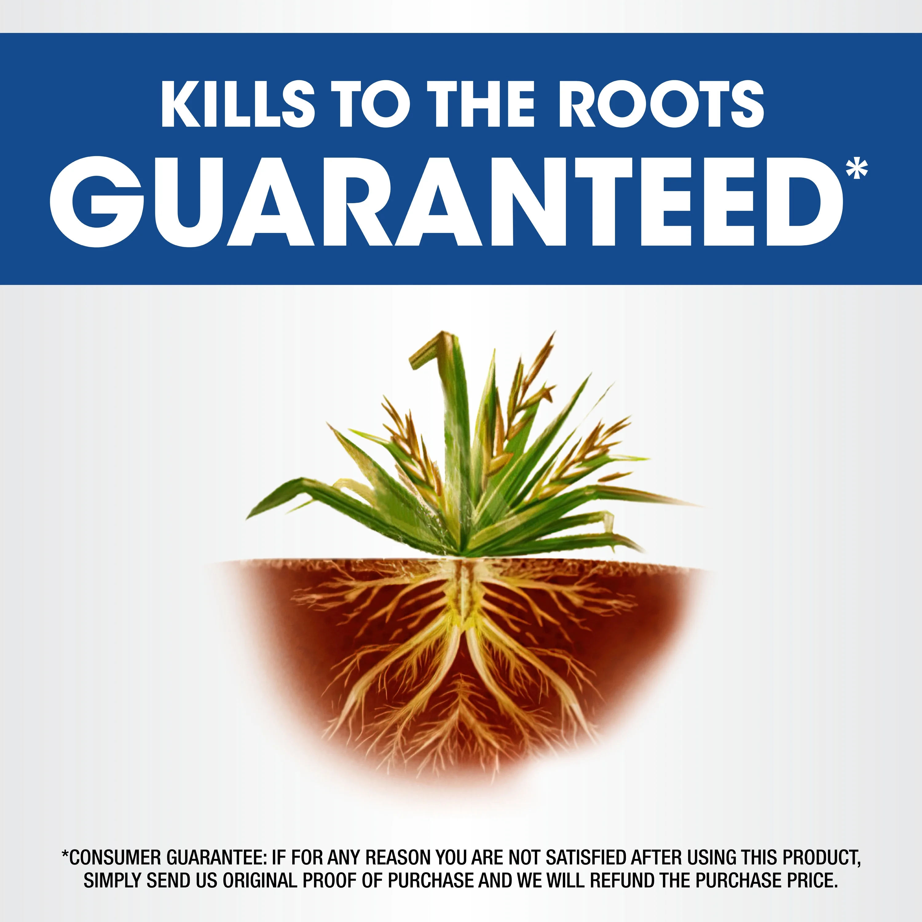 Roundup Weed & Grass Killer? Concentrate, Use In Flower Beds and other areas of your yard, 1 gal.