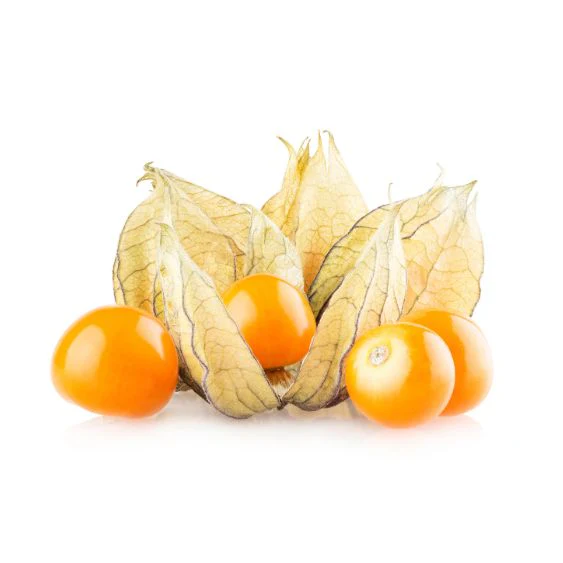 Physalis – Exotic berry with fruity acidity & decorative power