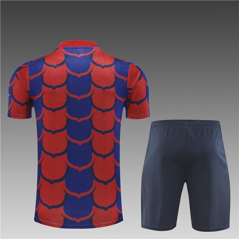 2024/2025 Barcelona short-sleeved red and blue training suit (Adult Kit)