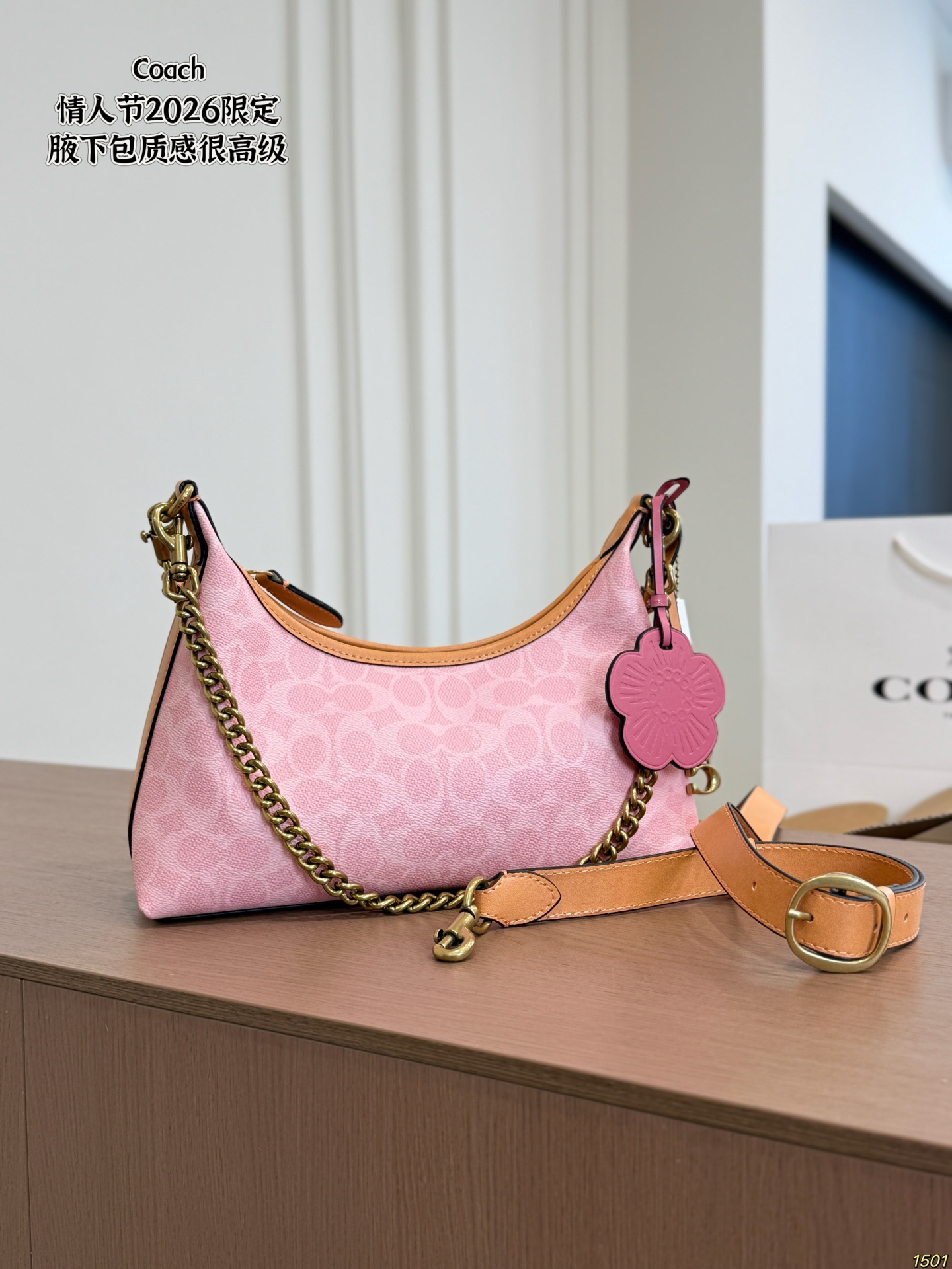 Coach Valentine Day Limited Edition Underarm Bag