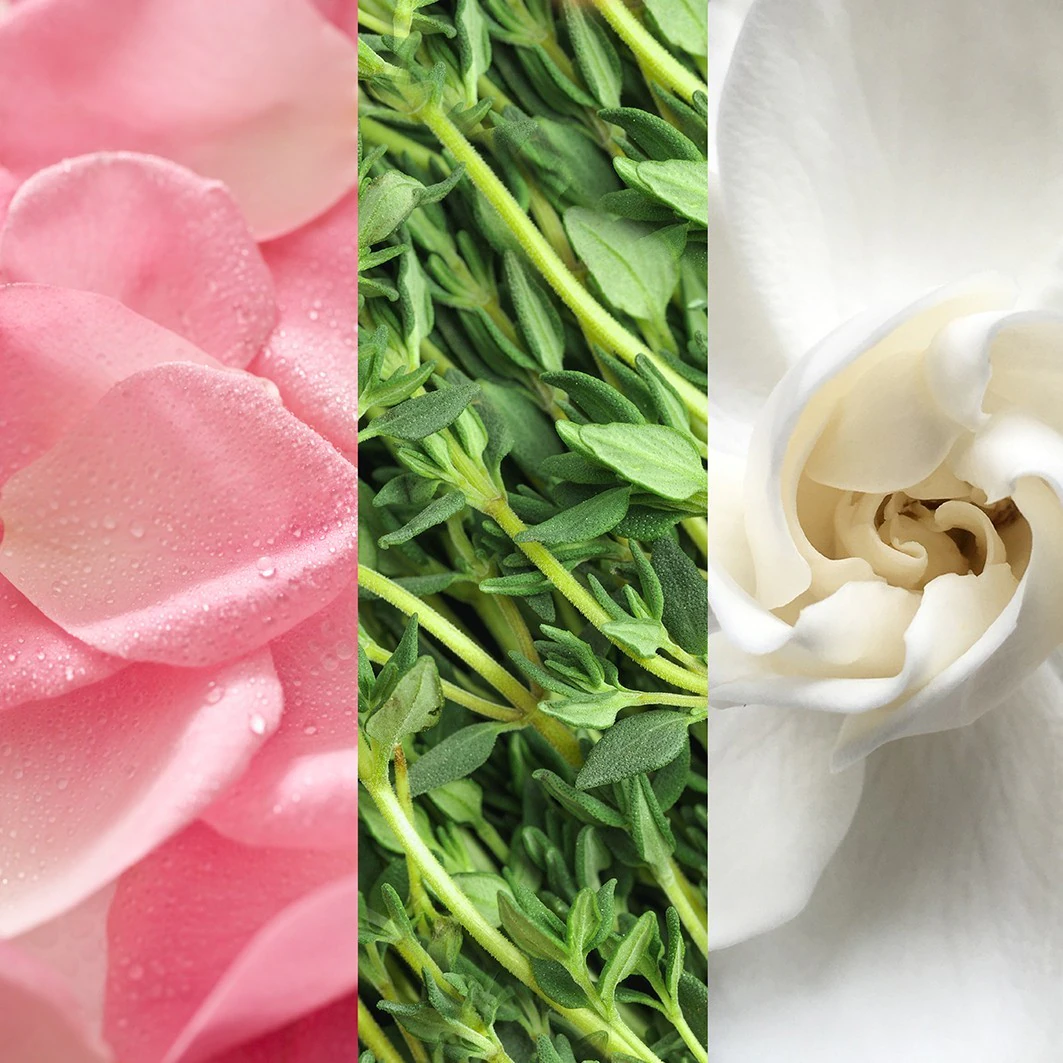 Facial Spray with Aloe, Herbs and Rosewater