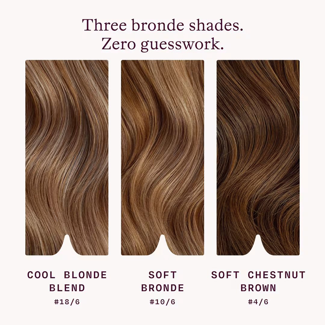 Sitting Pretty  Halo Hair Extensions Bronde Swatch Set