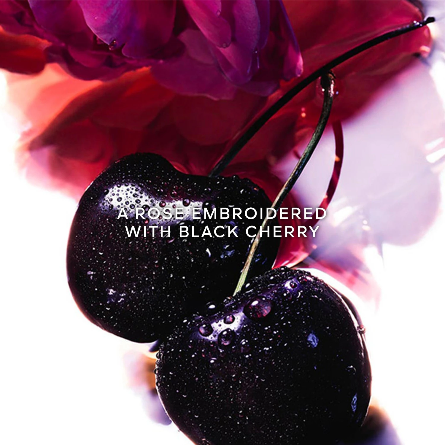 Velvet Body Milk