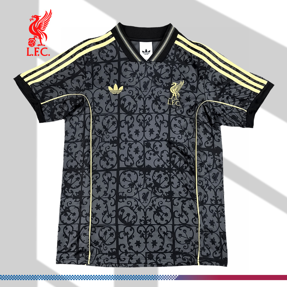 2025/2026 Liverpool Special Edition Football Jersey (Fans)