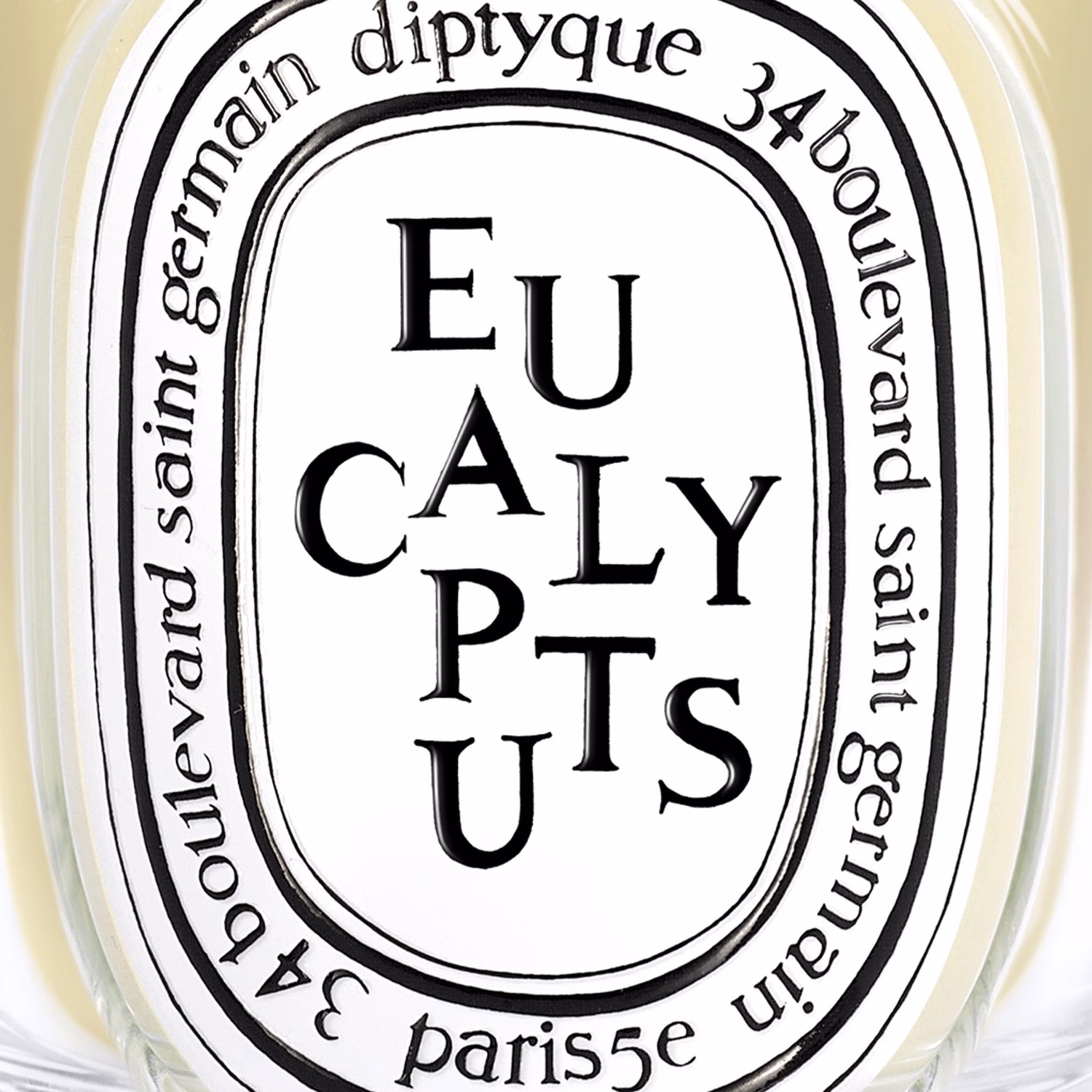 Eucalyptus