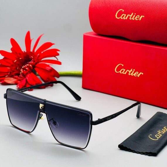 Cartier sunglasses 29