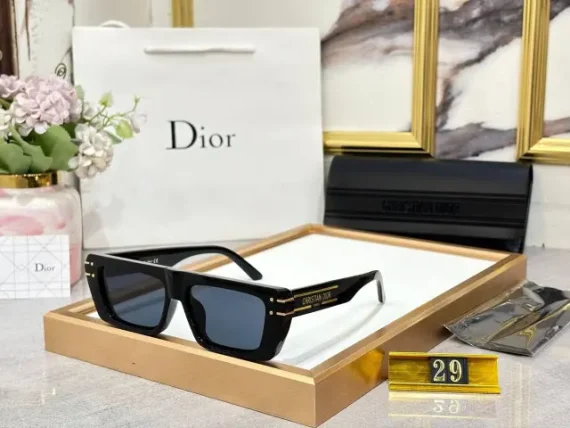 Dior sunglasses 13
