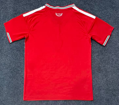 Fan version 2026 Wales home