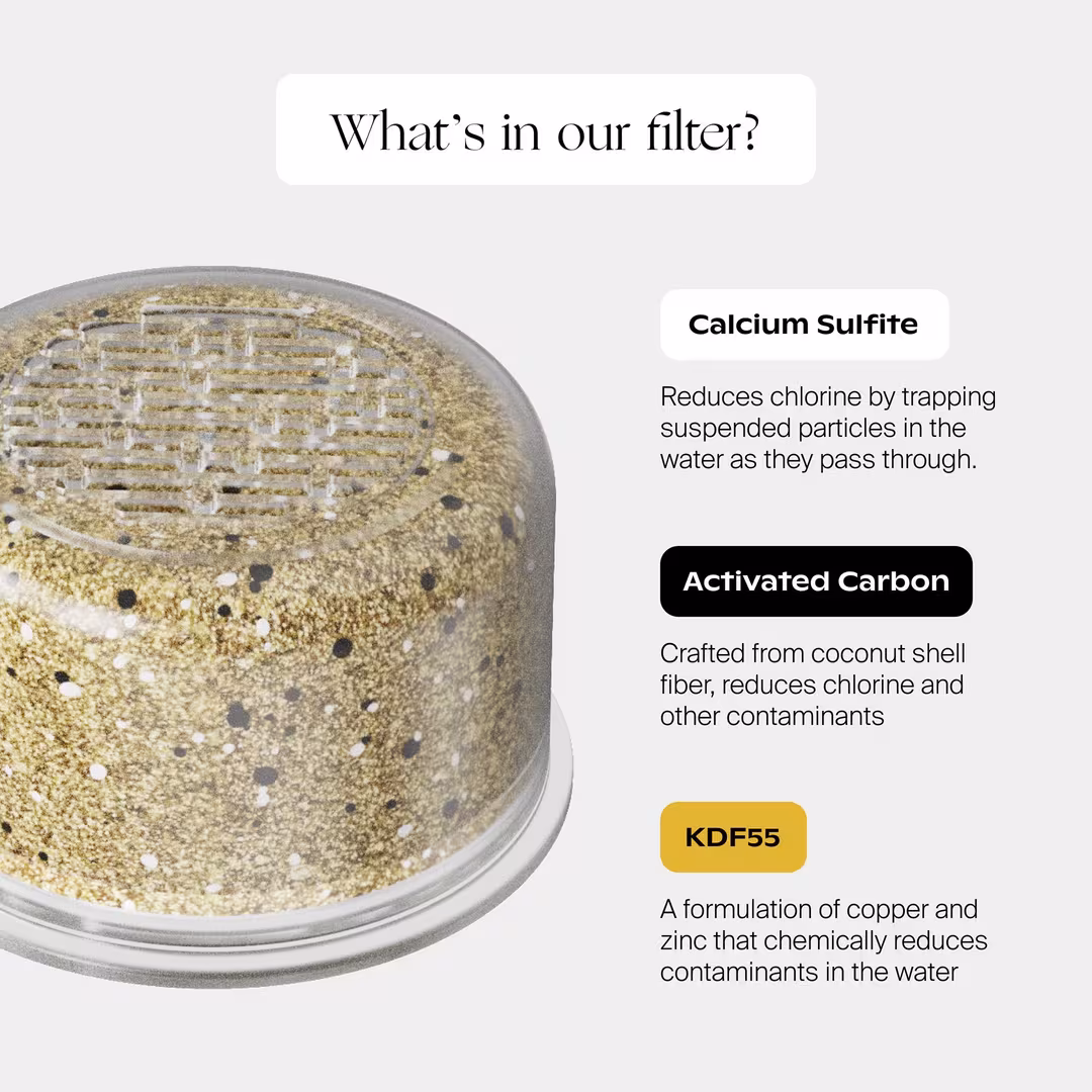 Canopy  Showerhead Filters
