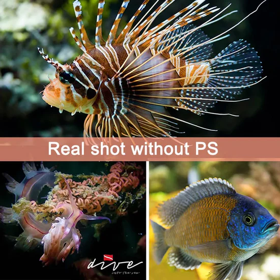 ARCHON S14V 5000K Scuba diving video light In stock