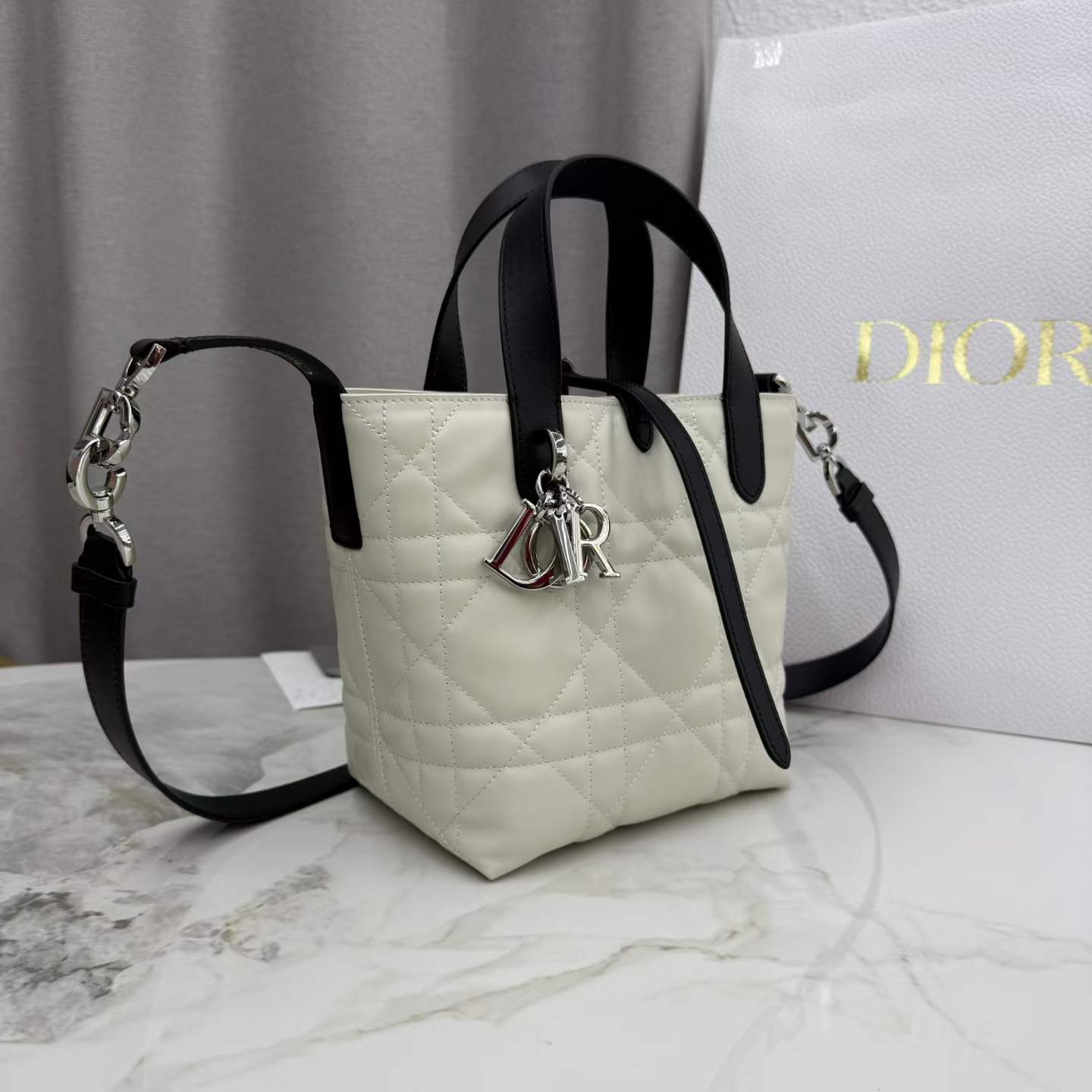 Dior Toujours vertical handbag