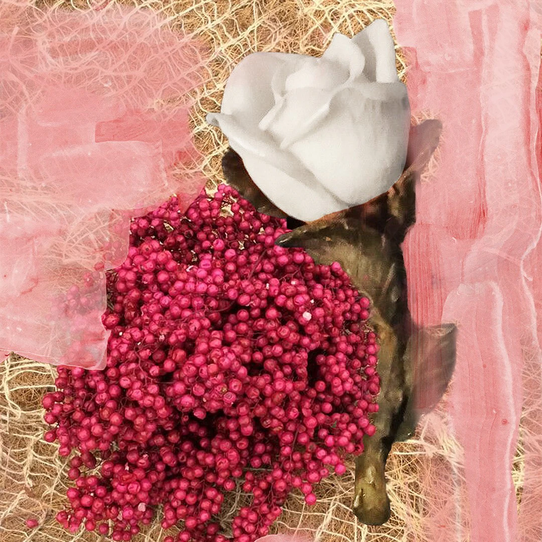 Rose Of No Man's Land