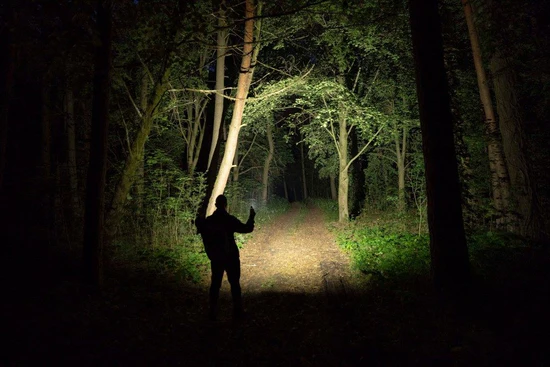 Armytek Elf C2 Max Right-angle Flashlight