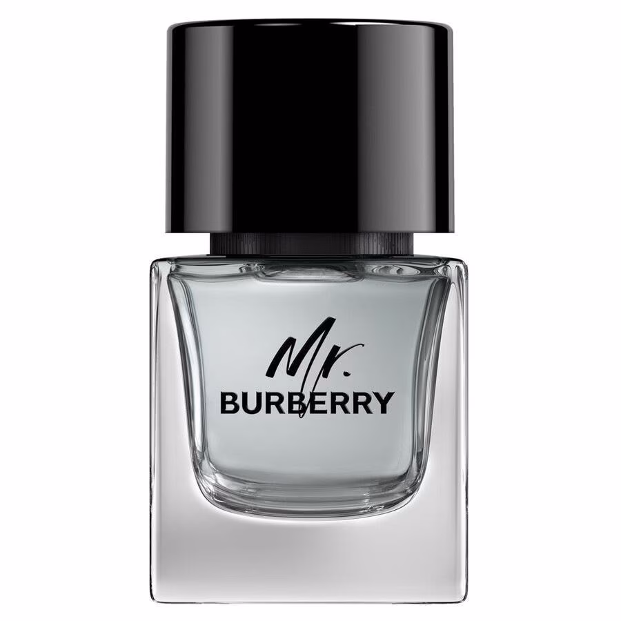 BURBERRY Mr. Burberry Eau de Toilette