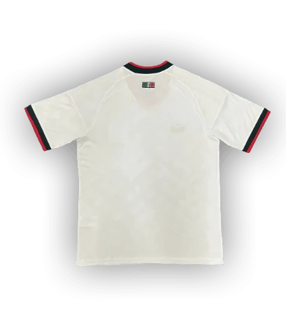 Mexico 2026 x Stussy Away