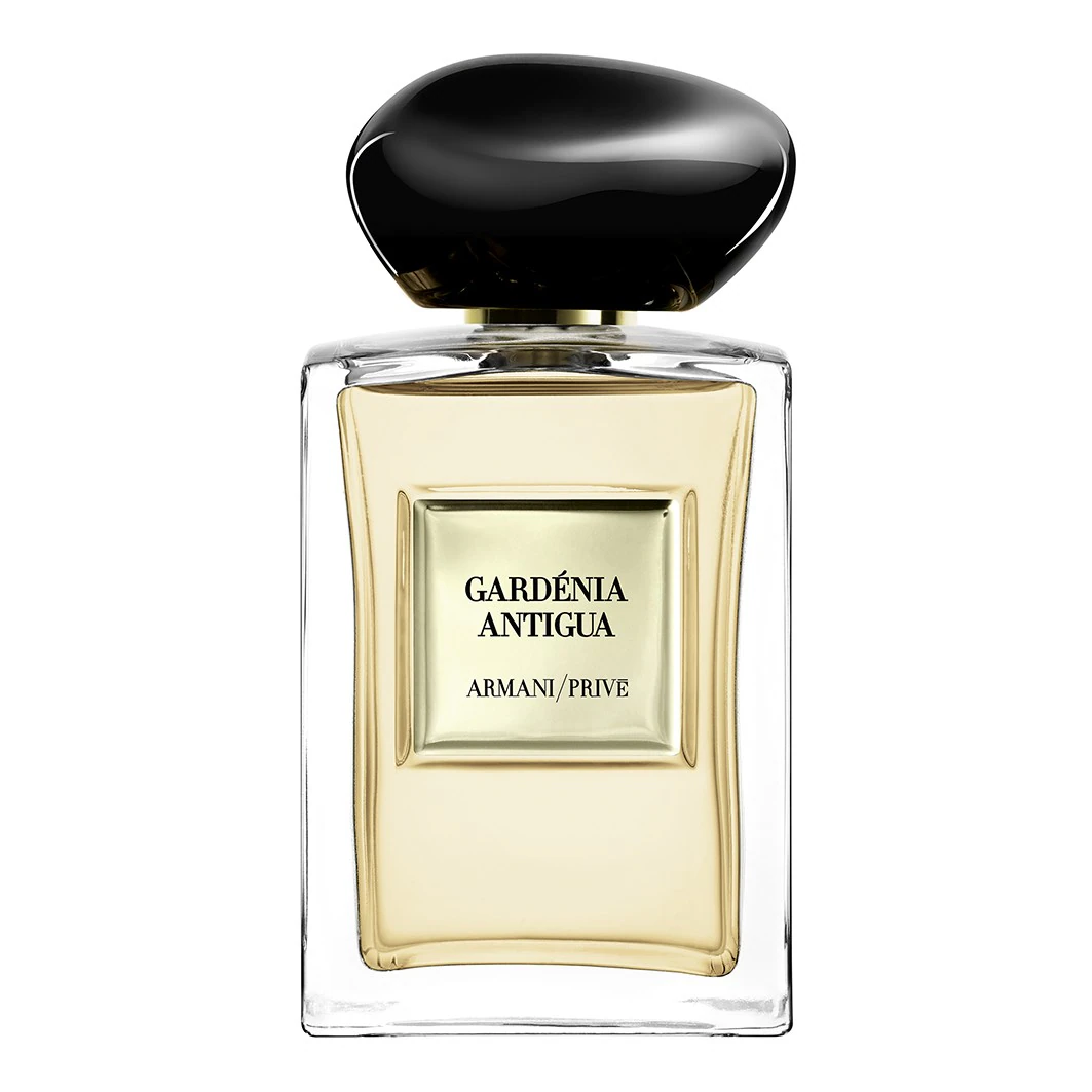 Gardénia Antigua