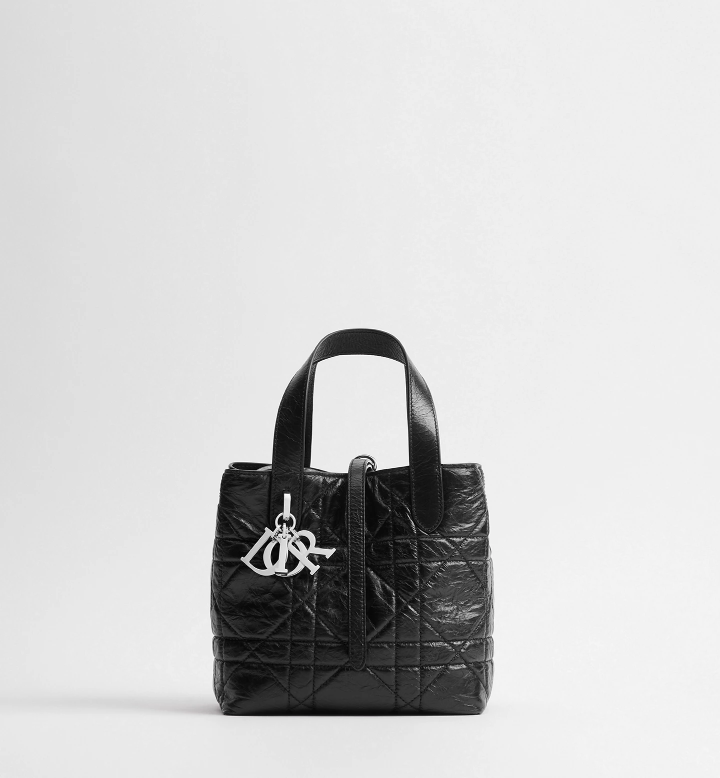 Dior Toujours Vertical Tote Bag