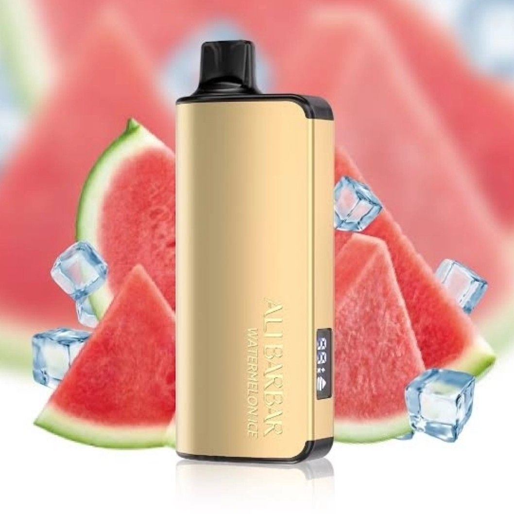 ALIBARBAR INGOT 900O Puffs - Watermelon Ice