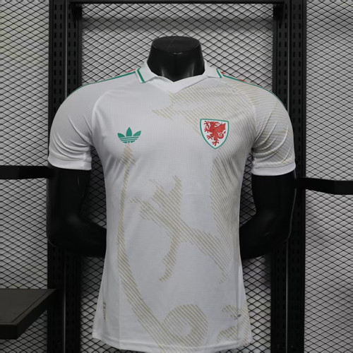 Player Version 2026 Wales away