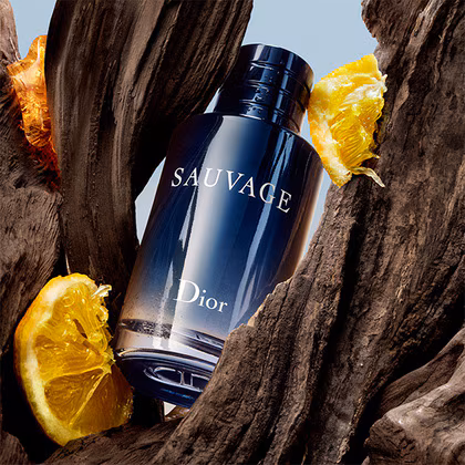 DIOR Sauvage Eau de Toilette Spray 100ML