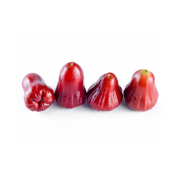 Java Apple – Crisp tropical fruit with refreshing lightness