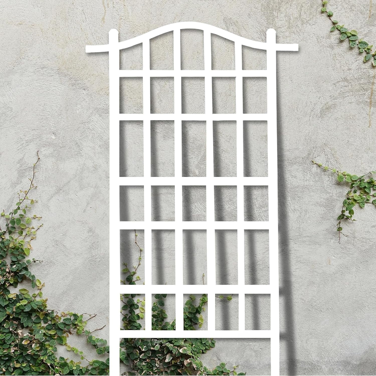 Dura-Trel Melrose 35 x 75 Inch Indoor Outdoor Garden Trellis Plant Support for Vines and Climbing Plants, Flowers, and Vegetables, White