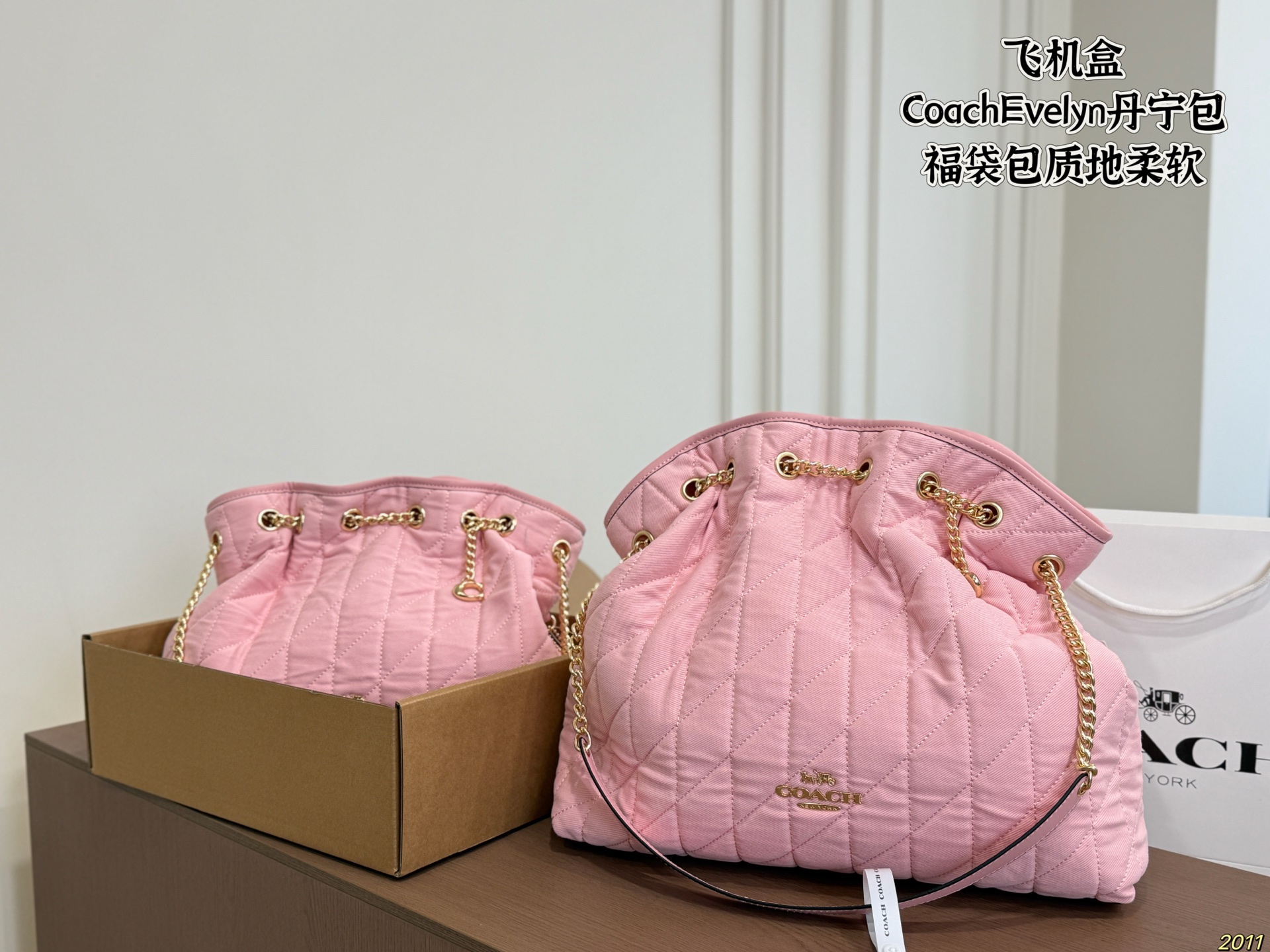 Coach Evelyn Denim Lucky Bag