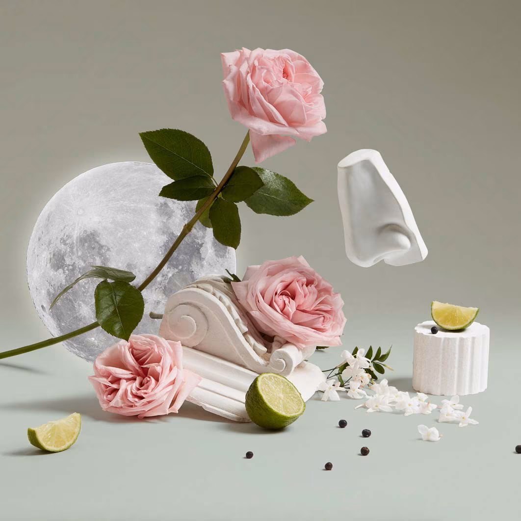 Luna Body & Hand Wash