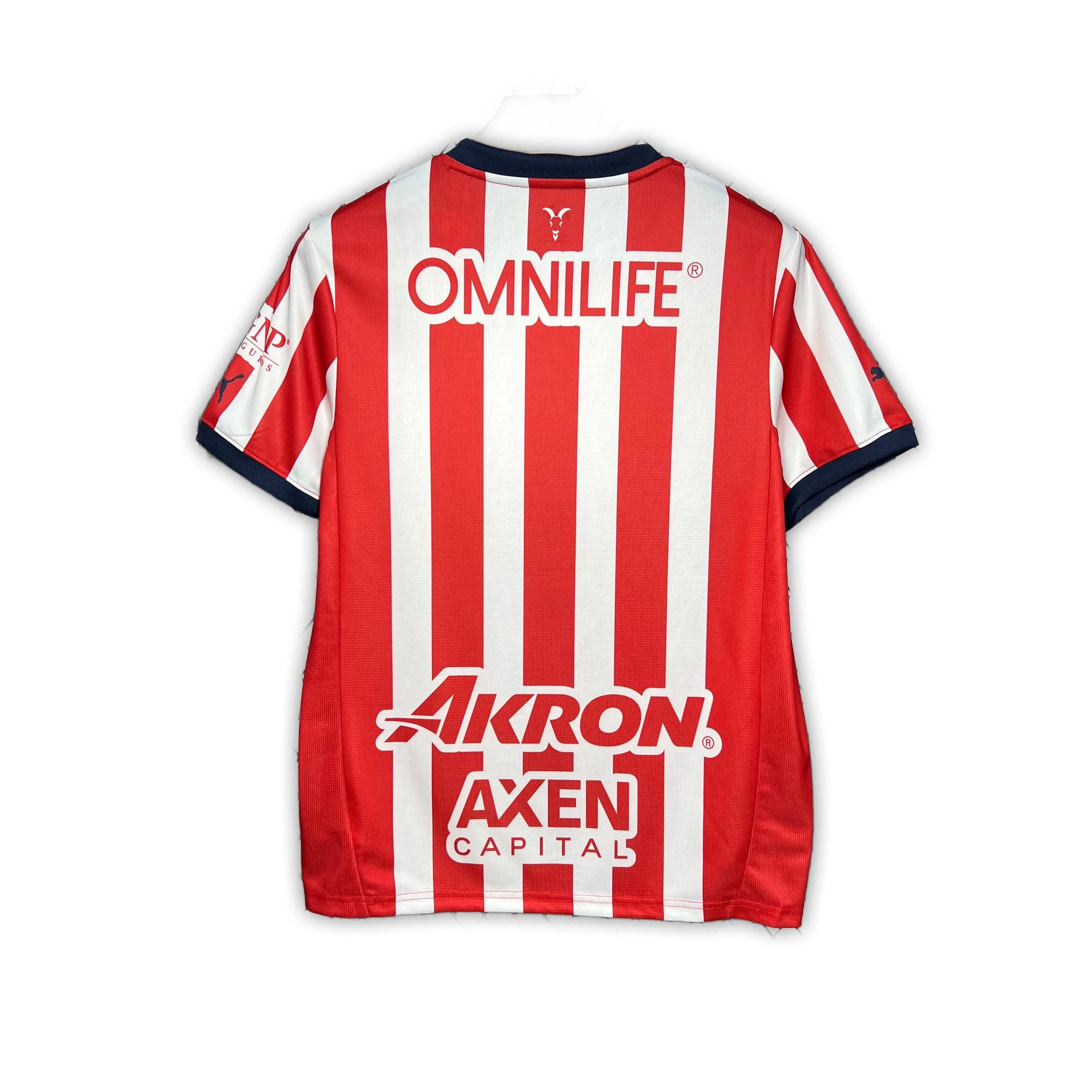 Chivas 2024/25 Home