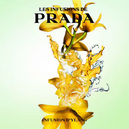 Prada Les Infusions D'Ylang Eau de Parfum Spray 100ML