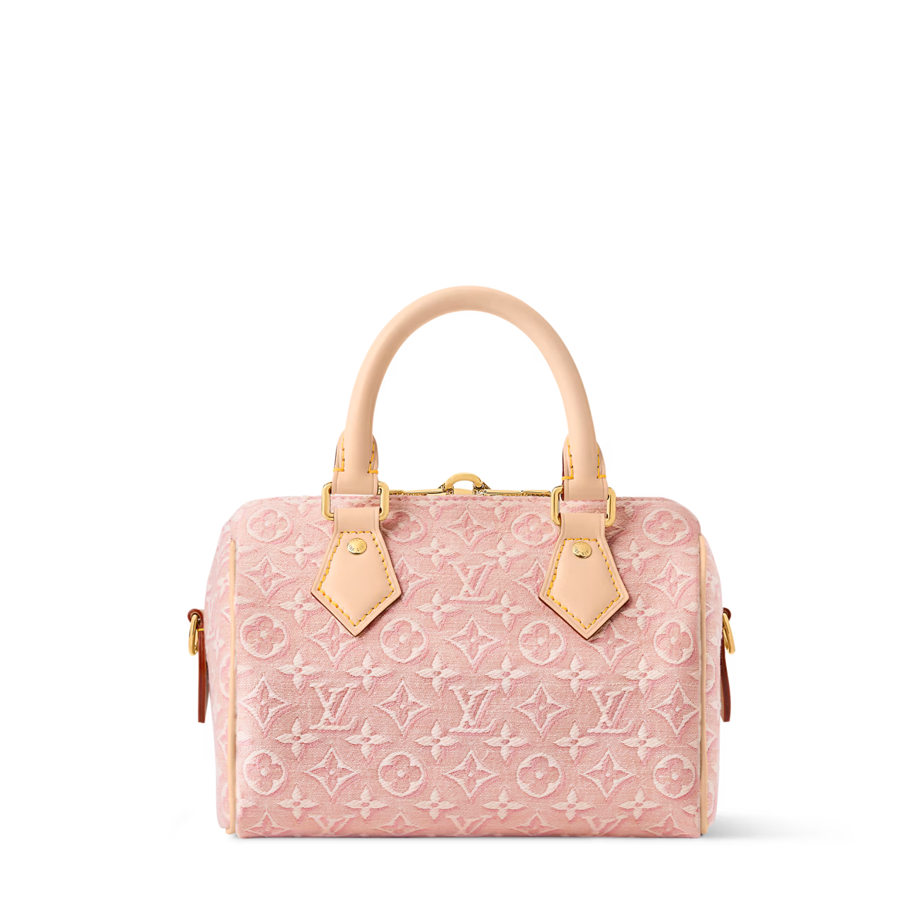 LV Speedy Bandoulière 20 Bag