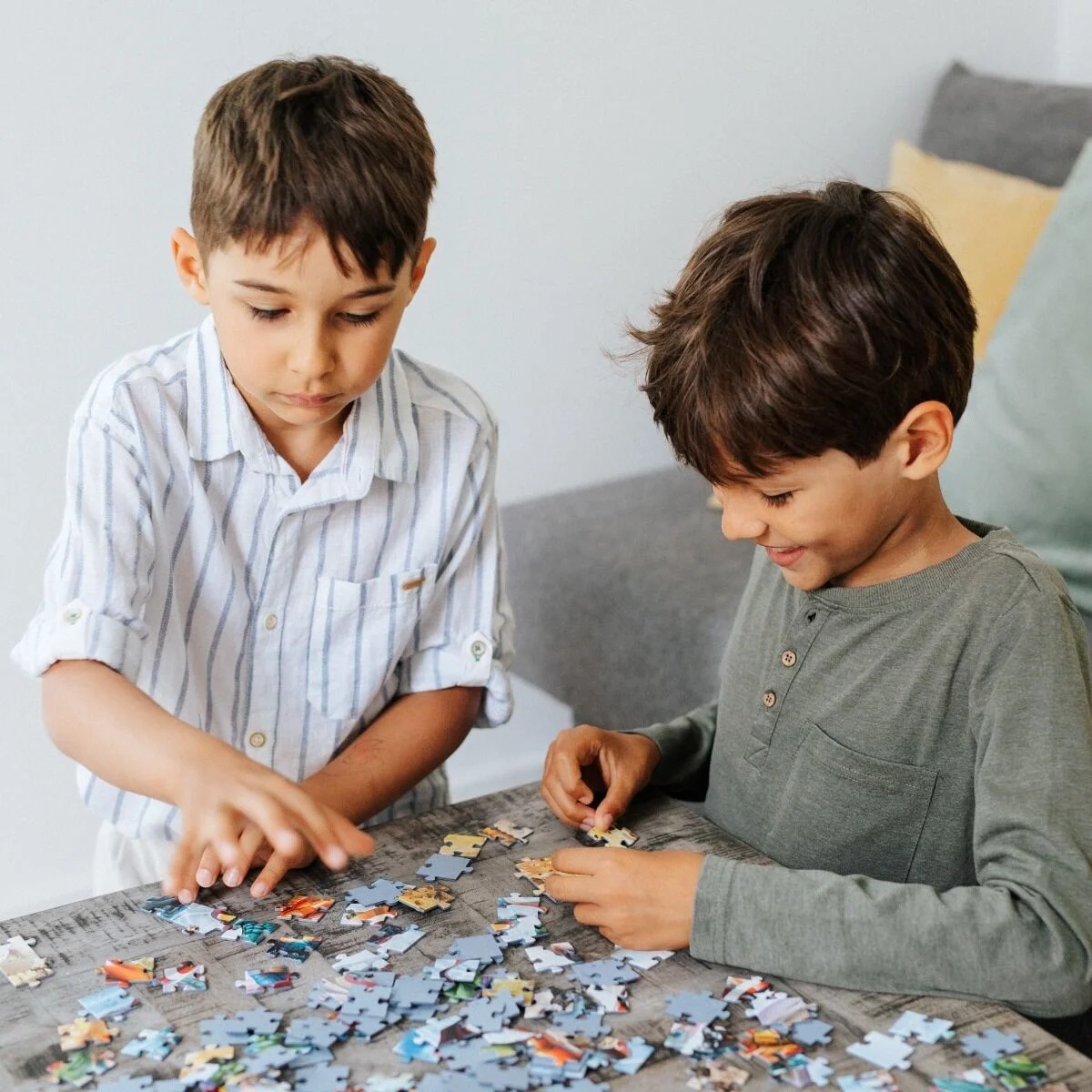 Paw Patrol Na Polanie