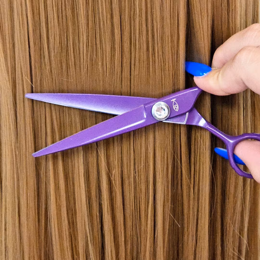 Bonika Shears  Plum 55 Shears