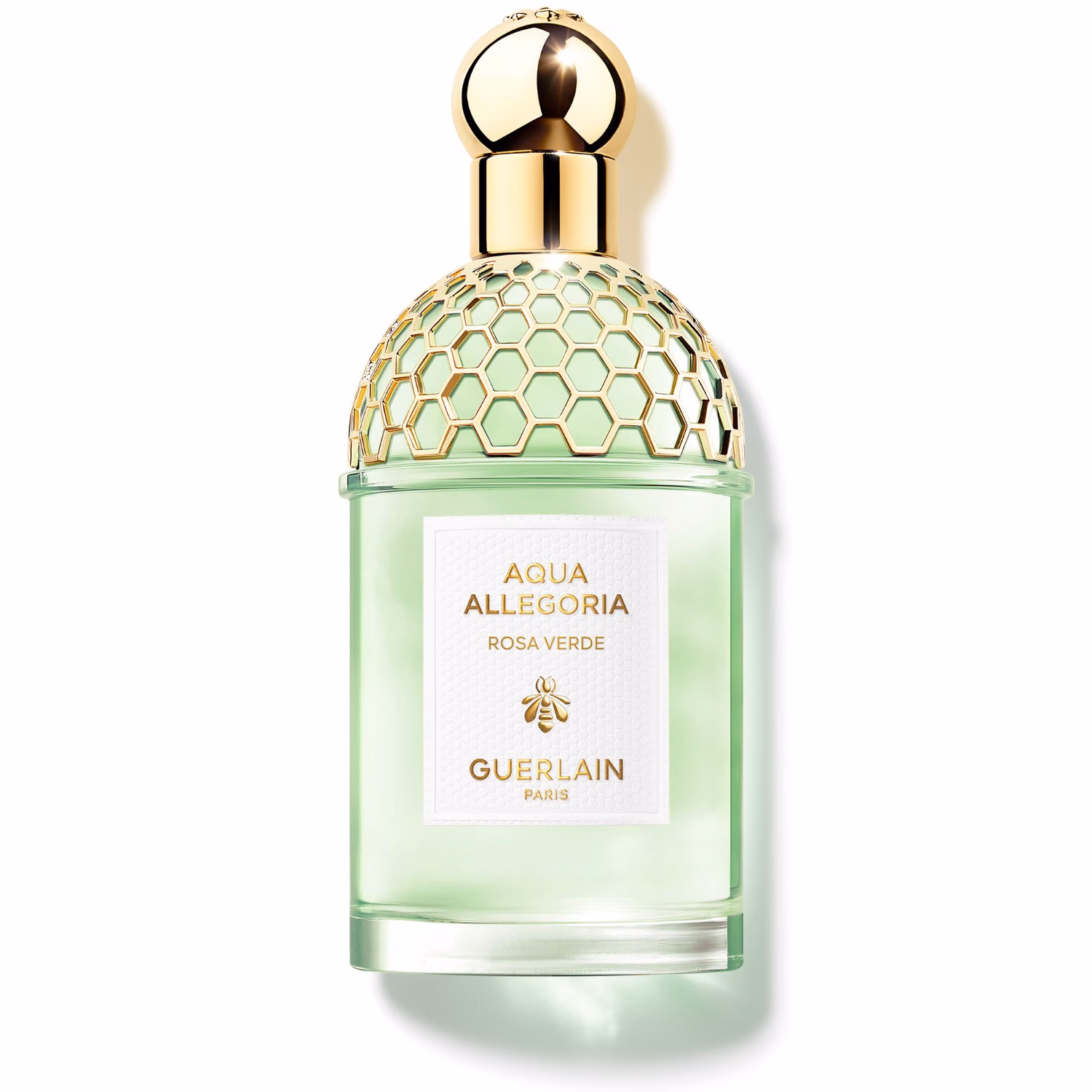 Rosa Verde