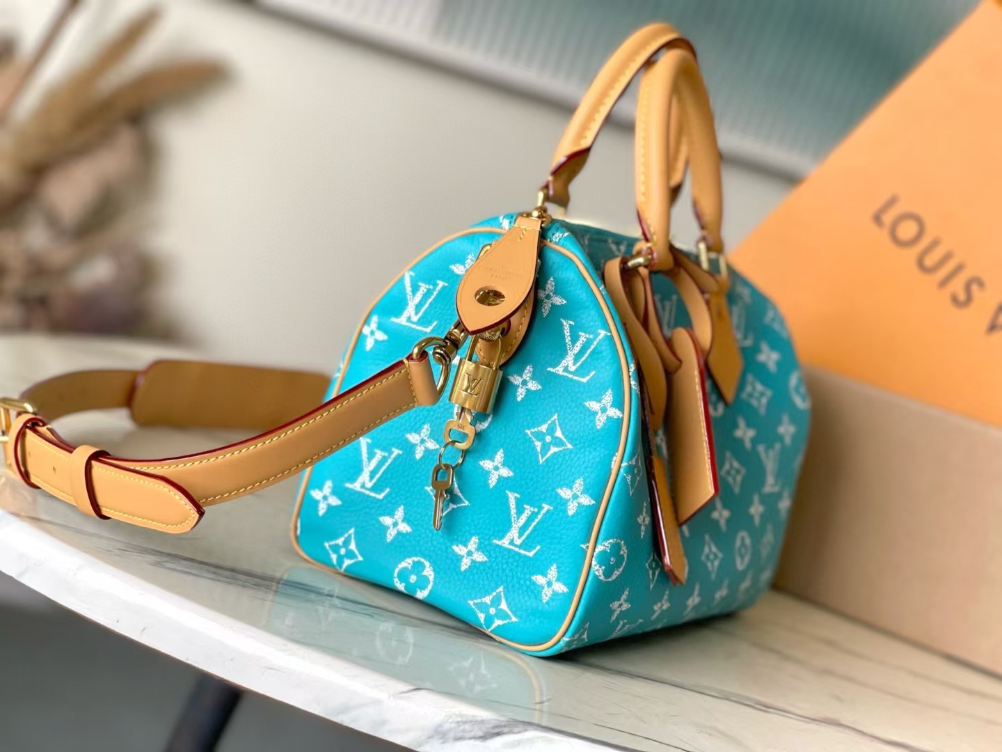 LV Speedy P9 25cm Bag Top Quality