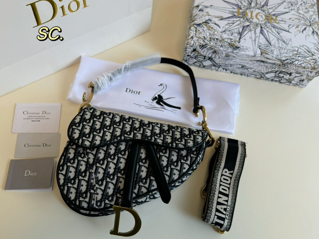 Dior Embroidered Saddle Bag