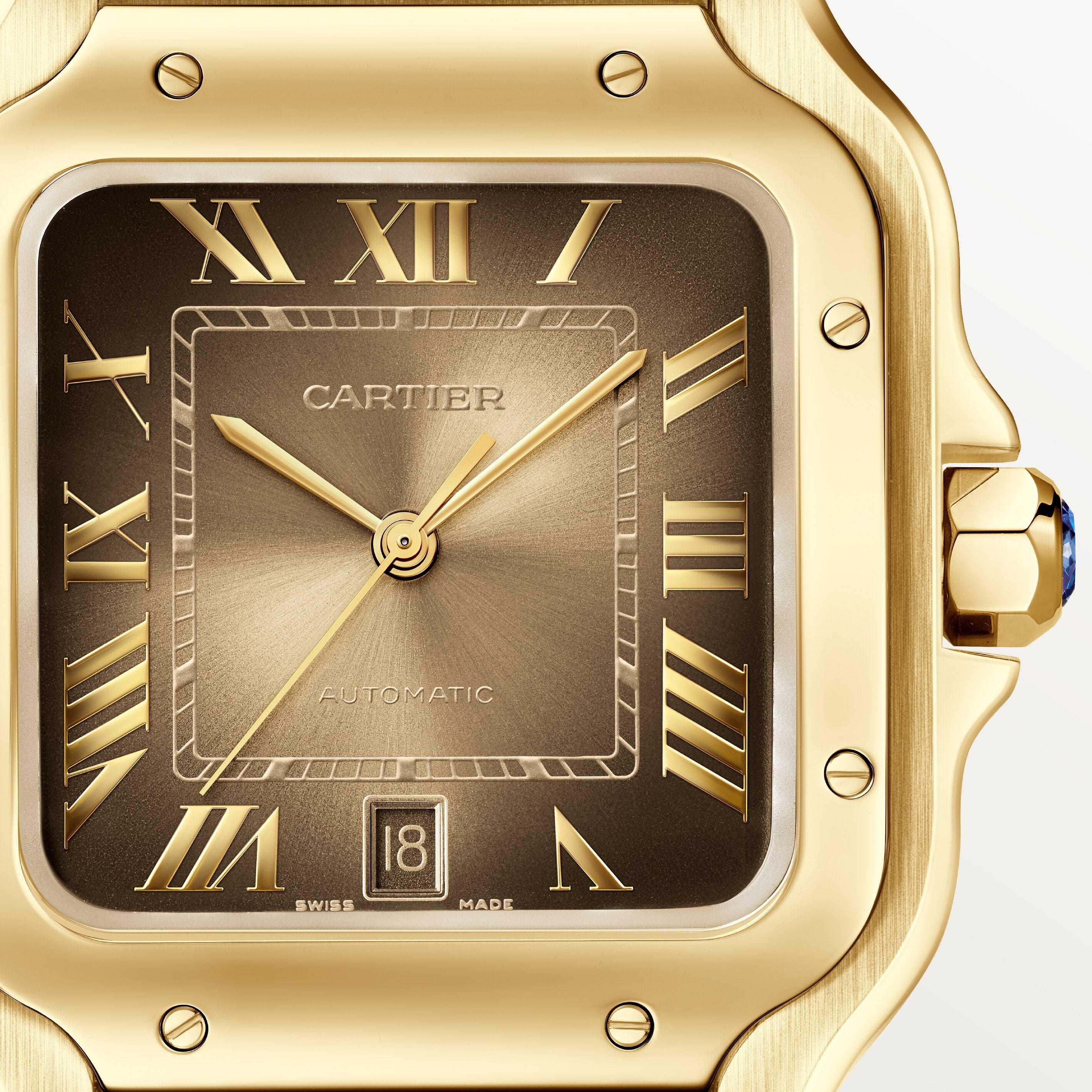Cartier Santos de Cartier watch CRWGSA0095(Box NOT Included)