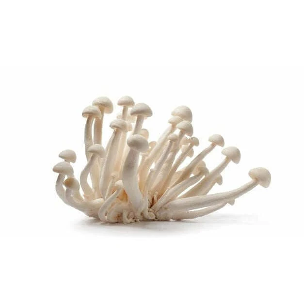 Shimeji White – Delicate mushrooms with a mild nutty aroma