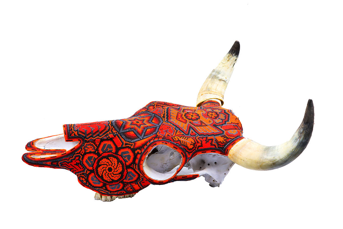 Cráneo de Vaca - Obra de Arte Huichol