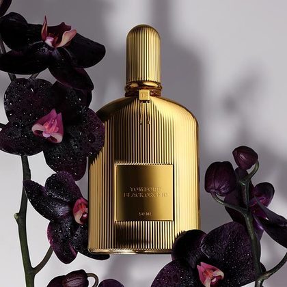 TOM FORD Black Orchid Parfum Spray 100ML