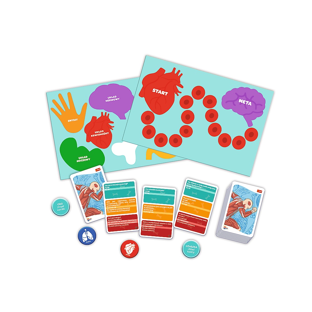 Gra Dla Dzieci Ciało Człowieka Mistrz Wiedzy